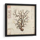 Romance Du Mer I - Vision Studio | Cuadro decorativo de Canvas Lab