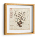 Romance Du Mer I - Vision Studio | Cuadro decorativo de Canvas Lab