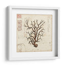 Romance Du Mer I - Vision Studio | Cuadro decorativo de Canvas Lab