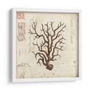 Romance Du Mer I - Vision Studio | Cuadro decorativo de Canvas Lab