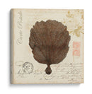 Romance Du Mer Ii - Vision Studio | Cuadro decorativo de Canvas Lab