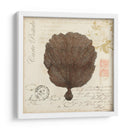 Romance Du Mer Ii - Vision Studio | Cuadro decorativo de Canvas Lab