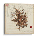 Romance Du Mer Iii - Vision Studio | Cuadro decorativo de Canvas Lab