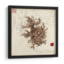 Romance Du Mer Iii - Vision Studio | Cuadro decorativo de Canvas Lab