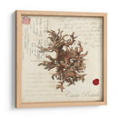 Romance Du Mer Iii - Vision Studio | Cuadro decorativo de Canvas Lab