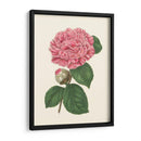 Verano Rubor I - E. D. Smith | Cuadro decorativo de Canvas Lab