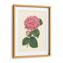 Verano Rubor I - E. D. Smith | Cuadro decorativo de Canvas Lab