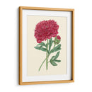 Summer Blush Ii - E. D. Smith | Cuadro decorativo de Canvas Lab