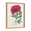 Summer Blush Ii - E. D. Smith | Cuadro decorativo de Canvas Lab