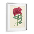 Summer Blush Ii - E. D. Smith | Cuadro decorativo de Canvas Lab