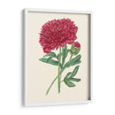 Summer Blush Ii - E. D. Smith | Cuadro decorativo de Canvas Lab