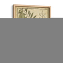 Helechos Antiguos De Diderot I - Denis Diderot | Cuadro decorativo de Canvas Lab