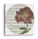 Colección De París Musical H - Jennifer Goldberger | Cuadro decorativo de Canvas Lab