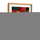 Bromeliad Burst Iv - Jason Johnson | Cuadro decorativo de Canvas Lab