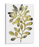 Follaje Fossil Ii - June Erica Vess | Cuadro decorativo de Canvas Lab