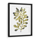 Follaje Fossil Ii - June Erica Vess | Cuadro decorativo de Canvas Lab