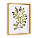 Follaje Fossil Ii - June Erica Vess | Cuadro decorativo de Canvas Lab