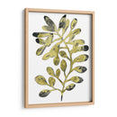 Follaje Fossil Ii - June Erica Vess | Cuadro decorativo de Canvas Lab