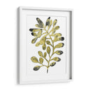 Follaje Fossil Ii - June Erica Vess | Cuadro decorativo de Canvas Lab