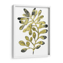 Follaje Fossil Ii - June Erica Vess | Cuadro decorativo de Canvas Lab