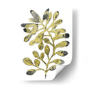 Follaje Fossil Ii - June Erica Vess | Cuadro decorativo de Canvas Lab