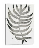Follaje Fósil Iv - June Erica Vess | Cuadro decorativo de Canvas Lab