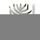 Follaje Fósil Iv - June Erica Vess | Cuadro decorativo de Canvas Lab