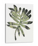 Follaje Fósil V - June Erica Vess | Cuadro decorativo de Canvas Lab