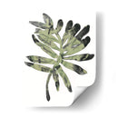 Follaje Fósil V - June Erica Vess | Cuadro decorativo de Canvas Lab