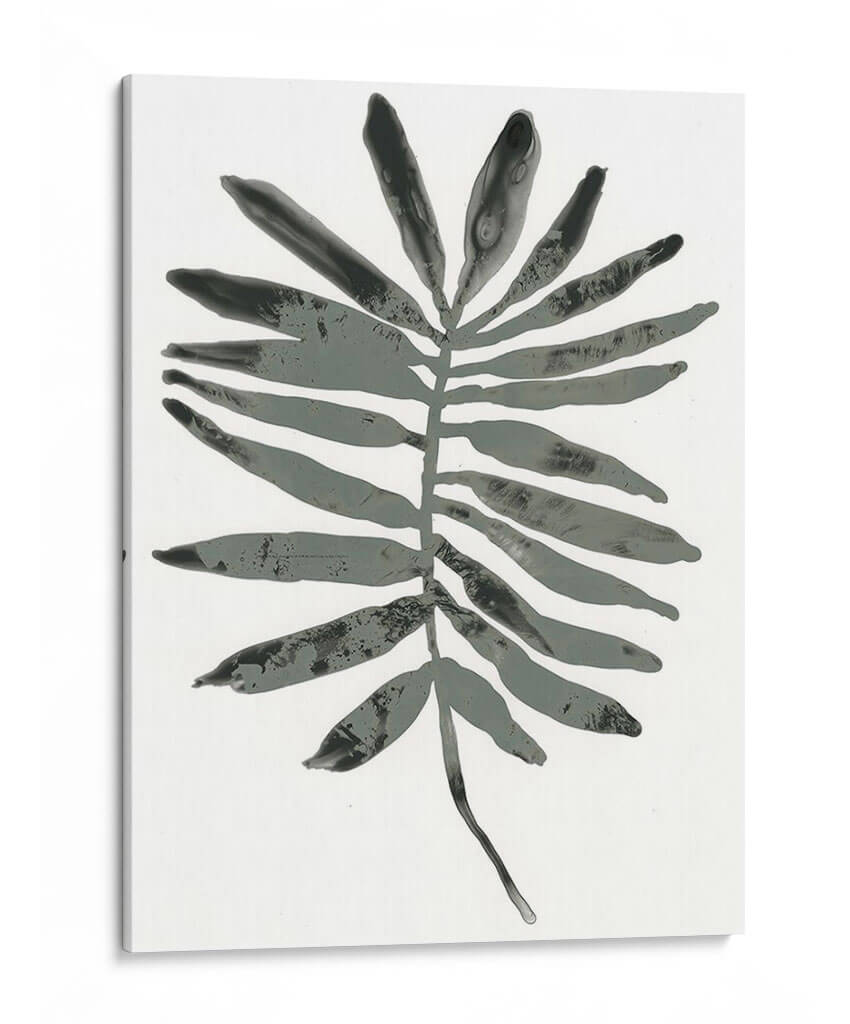 Follaje Fossil Vii - June Erica Vess | Cuadro decorativo de Canvas Lab