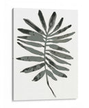 Follaje Fossil Vii - June Erica Vess | Cuadro decorativo de Canvas Lab