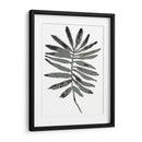 Follaje Fossil Vii - June Erica Vess | Cuadro decorativo de Canvas Lab