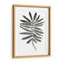 Follaje Fossil Vii - June Erica Vess | Cuadro decorativo de Canvas Lab