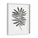 Follaje Fossil Vii - June Erica Vess | Cuadro decorativo de Canvas Lab