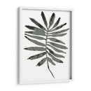 Follaje Fossil Vii - June Erica Vess | Cuadro decorativo de Canvas Lab