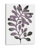 Follaje Fossil Viii - June Erica Vess | Cuadro decorativo de Canvas Lab