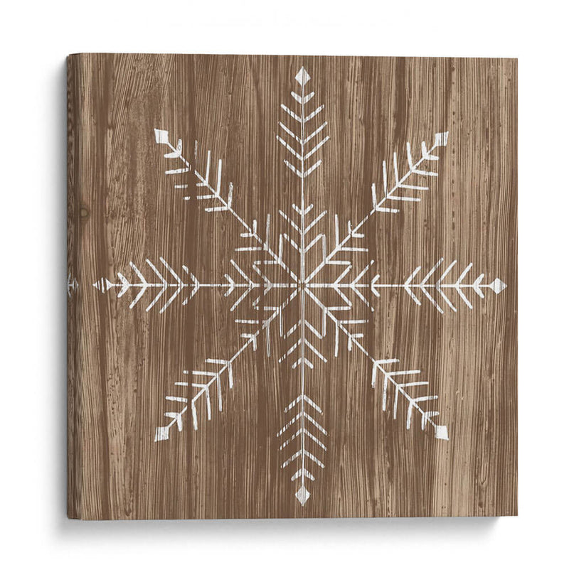 Barnwood Wonderland Iv - June Erica Vess | Cuadro decorativo de Canvas Lab