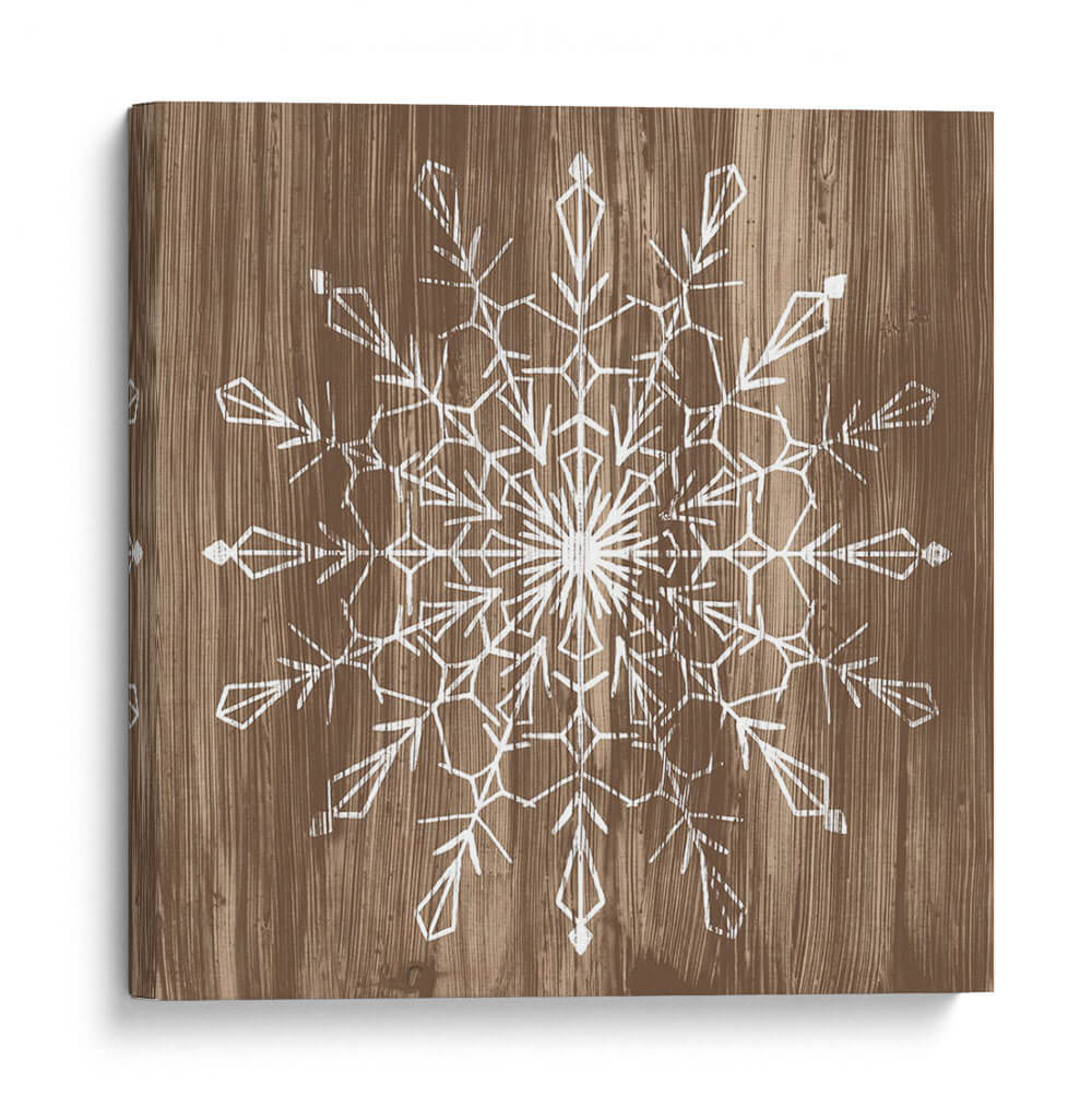 Barnwood Wonderland Vi - June Erica Vess | Cuadro decorativo de Canvas Lab