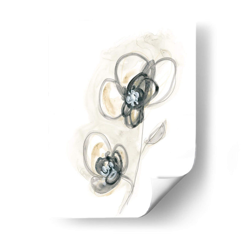 Estudio Floral Monocromo Ii - June Erica Vess | Cuadro decorativo de Canvas Lab