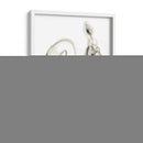 Estudio Floral Monocromo Iii - June Erica Vess | Cuadro decorativo de Canvas Lab