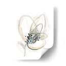 Estudio Floral Monocromo V - June Erica Vess | Cuadro decorativo de Canvas Lab