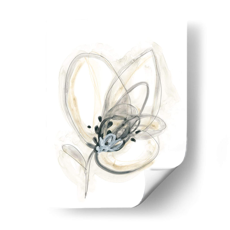 Estudio Floral Monocromo V - June Erica Vess | Cuadro decorativo de Canvas Lab