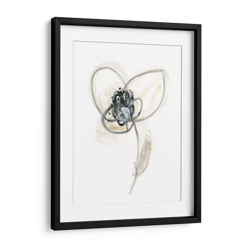 Estudio Floral Monocromo Vii - June Erica Vess | Cuadro decorativo de Canvas Lab