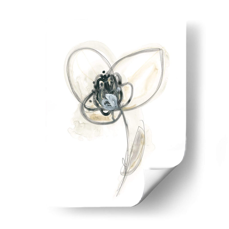 Estudio Floral Monocromo Vii - June Erica Vess | Cuadro decorativo de Canvas Lab