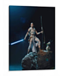 Rey - Action Geek | Cuadro decorativo de Canvas Lab