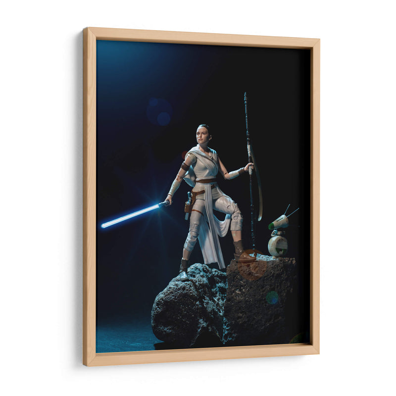 Rey - Action Geek | Cuadro decorativo de Canvas Lab