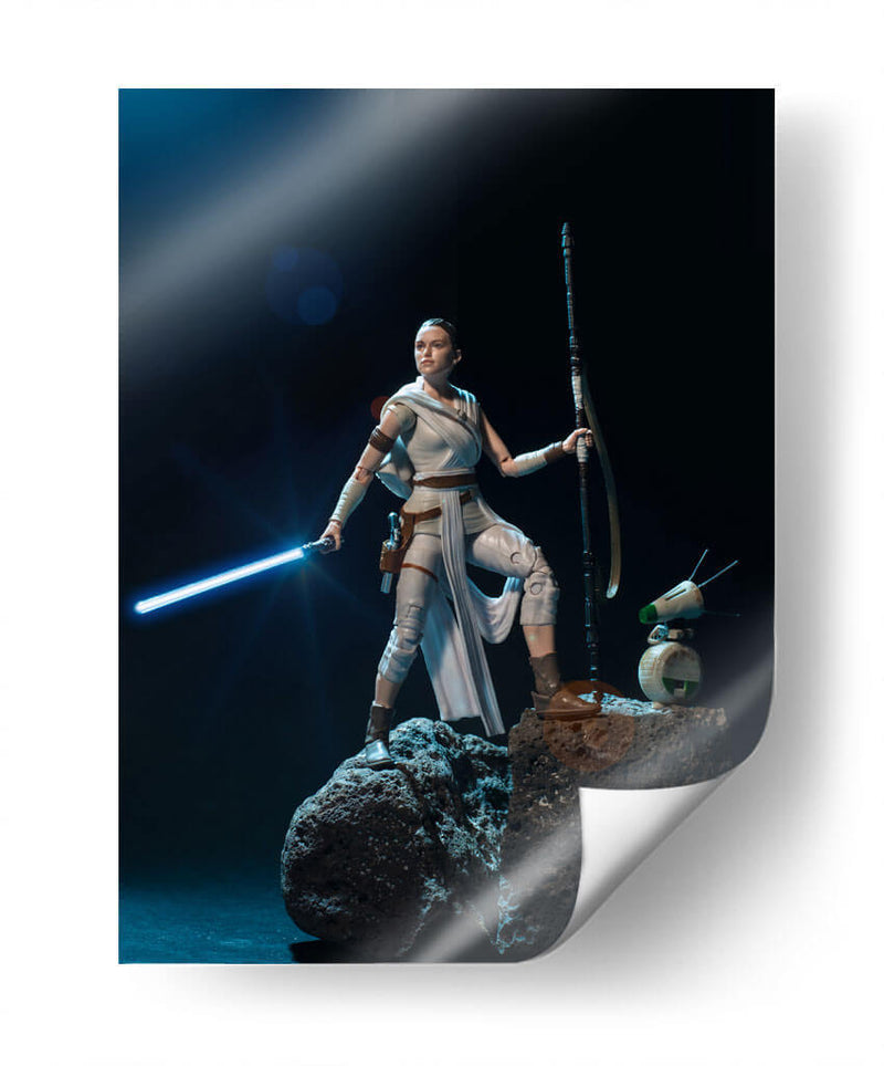 Rey - Action Geek | Cuadro decorativo de Canvas Lab