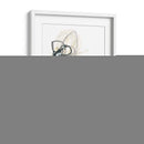 Estudio Floral Monocromo Ix - June Erica Vess | Cuadro decorativo de Canvas Lab