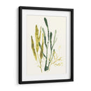 Colección Kelp I - June Erica Vess | Cuadro decorativo de Canvas Lab