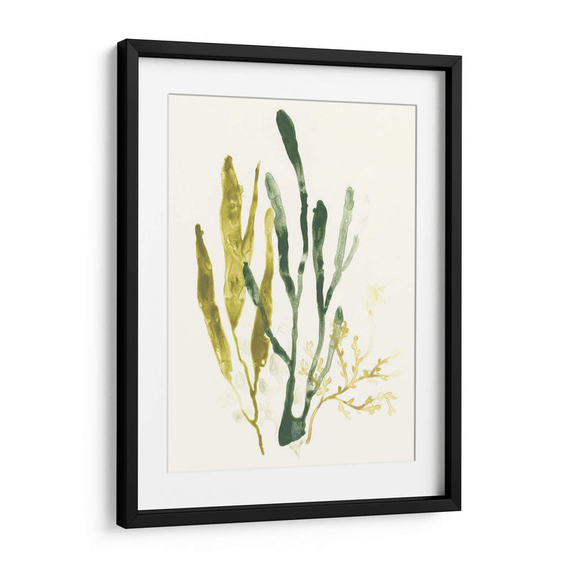 Colección Kelp I - June Erica Vess | Cuadro decorativo de Canvas Lab